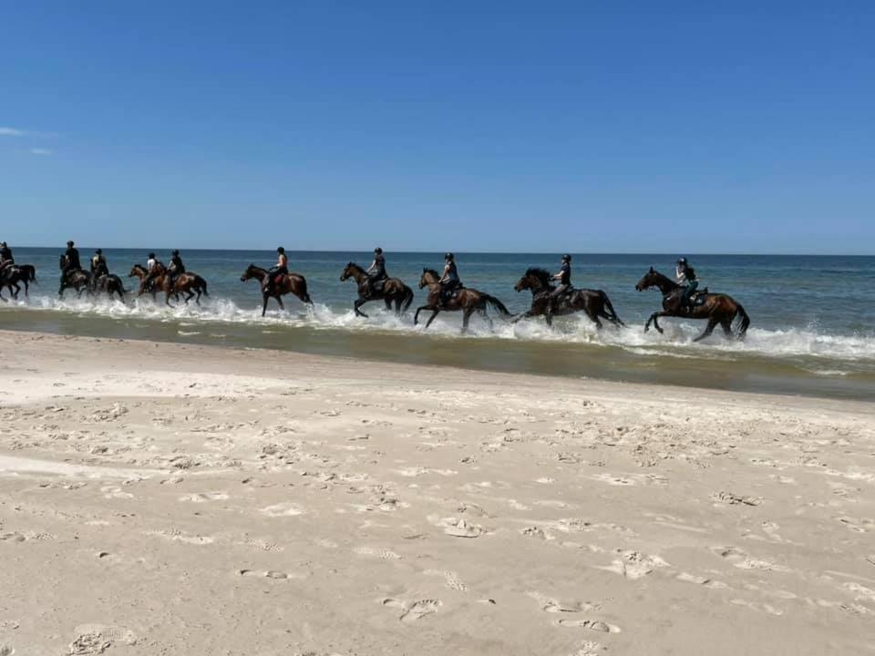 Domki Oazalubiatowo Lubiatowo  Esterno foto